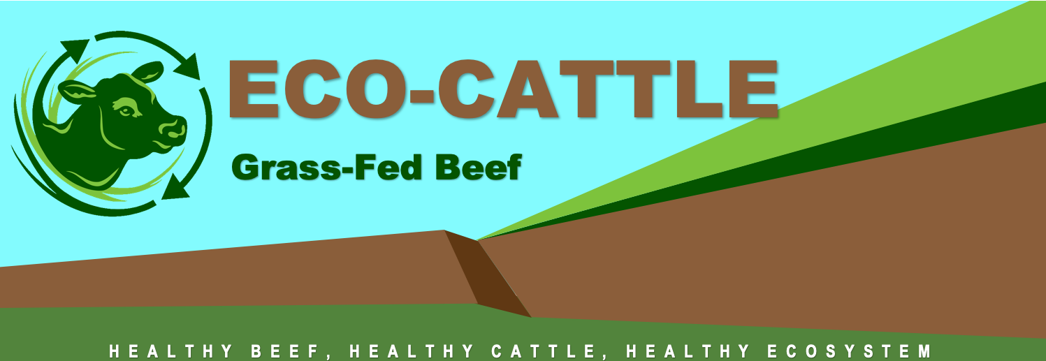 Eco-Cattle